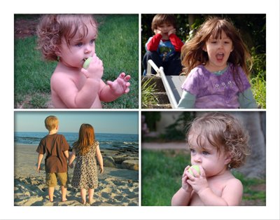 Coll 14 x 11 white border 4win-A