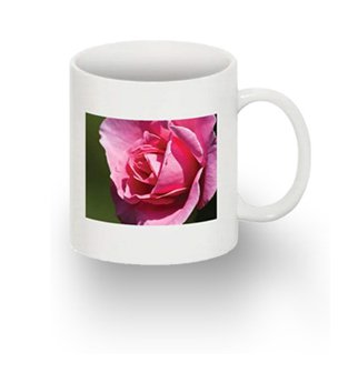 Standard 11oz mug with 1 image RH