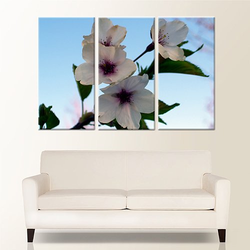 Tallahassee Photo & Frame 54x36 (3-18x36 Panels) - Tallahassee