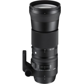 Sigma 150-600mm F5-6.3 DG OS HSM Contemporary for Nikon F - Mike's