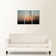 3 Panel  Photo Canvas Your Canvas Printing Canvas Prints