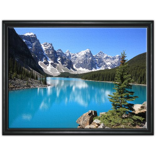 20x30 Black Framed Canvas in Shadow Box 