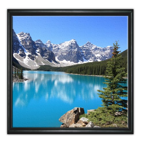 12x12 Black Framed Canvas in Shadow Box