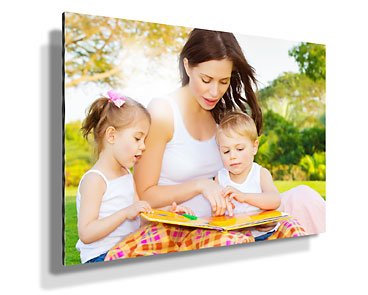 16x20" Metal Print - Gloss