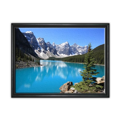 12x18 Black Framed Canvas in Shadow Box