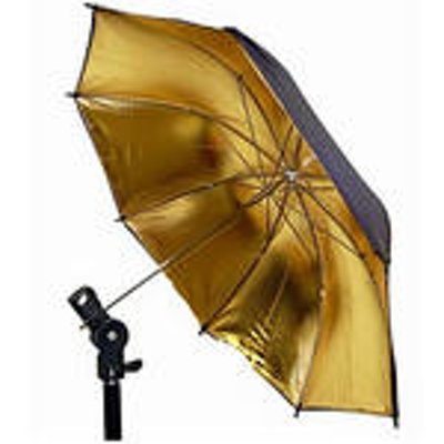 Promaster Professional Umbrella 30 White/Silver