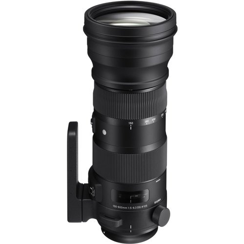 Sigma 150-600mm F5-6.3 DG OS HSM Sport for Nikon F - The Photo Center