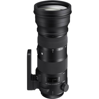 Sigma 150-600mm F5-6.3 DG OS HSM Sport for Nikon F