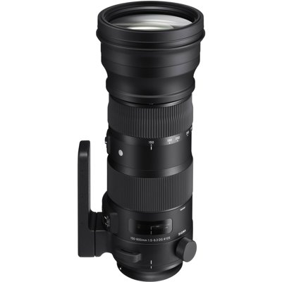 Sigma 150-600mm F5-6.3 DG OS HSM Sport for Nikon F
