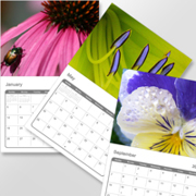 Wall Calendars (Multipage)