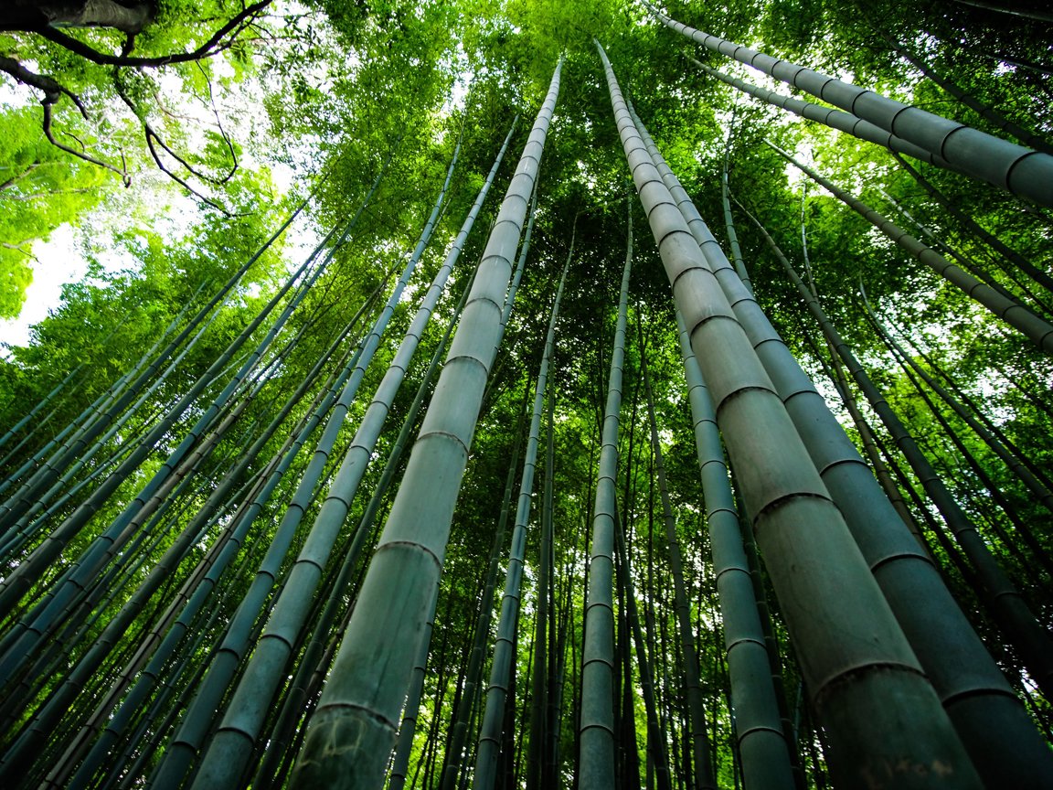 A1 - 59.4 cm x 84.1 cm Poster