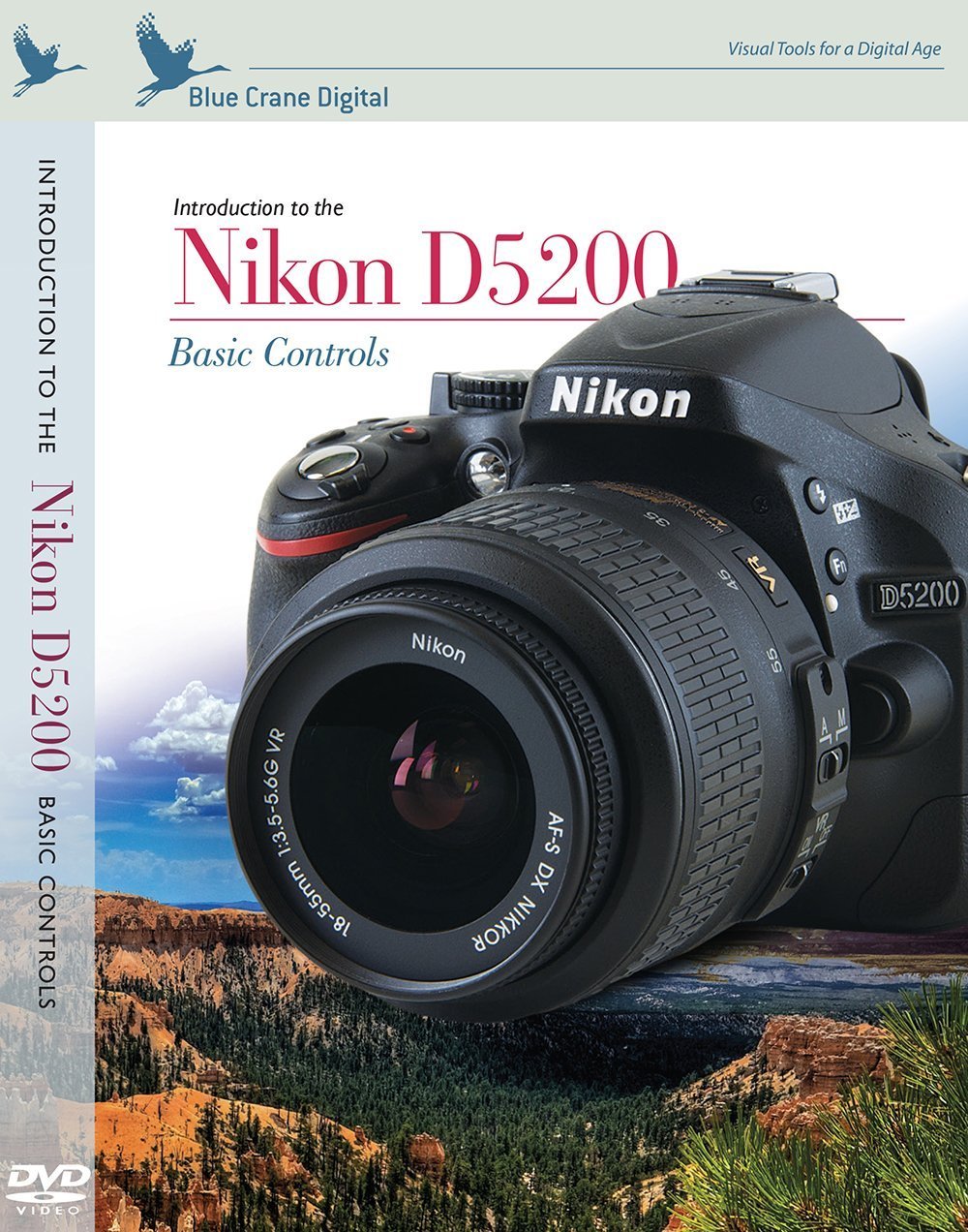 Blue Crane Digital Introduction to the Nikon D5200 - Basic Controls - The  Camera Company