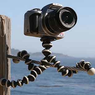 8d28595e-a46f-4bd0-b75f-a1abd498434e?&w=