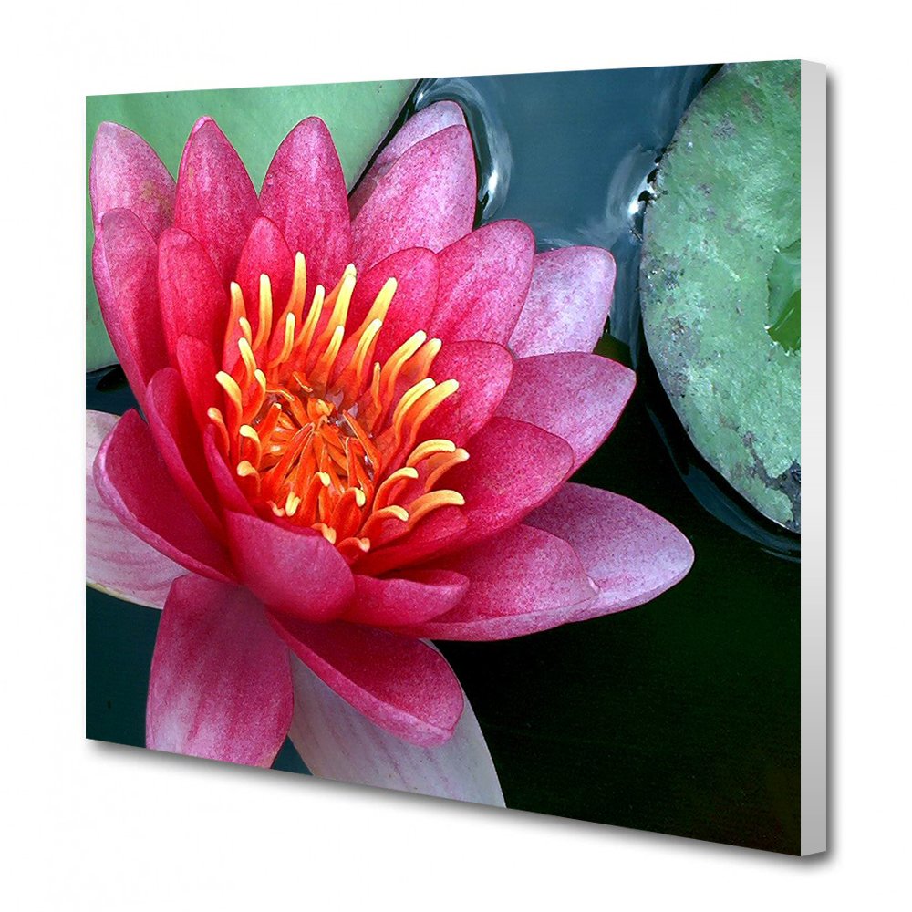 A4 Canvas (21.0cm x 29.7cm) 