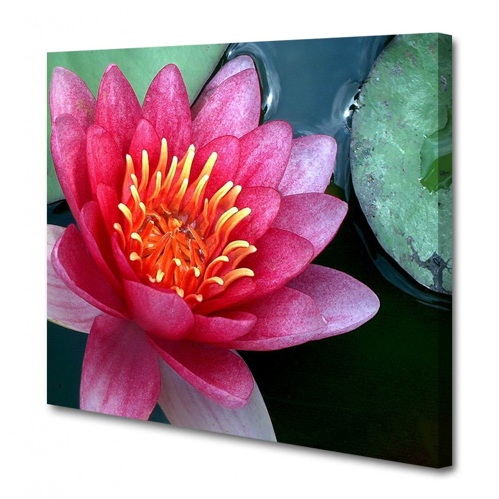 A4 Canvas (21.0cm x 29.7cm) 