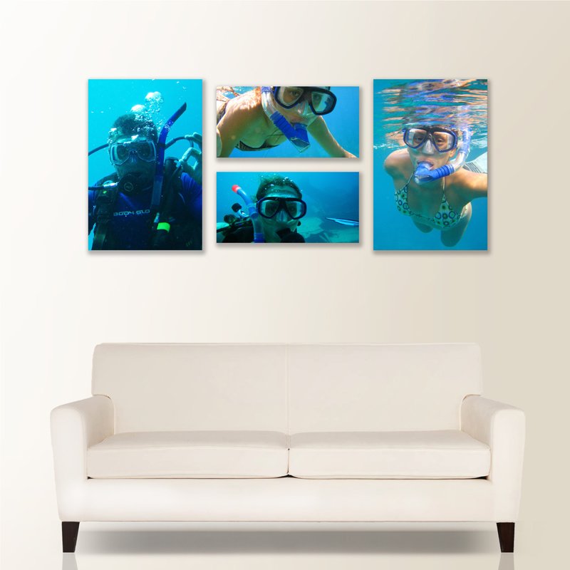 Morley Camera House Harmony Morley Camera House