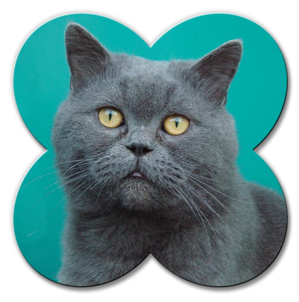 Belfast Small - Creative Edge Metal