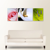 Trilogy 3 Piece Canvas Wall Display with 12mm Image Wrap