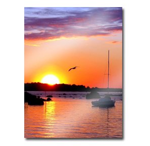 16 x 20 (40x50cm) Vertical