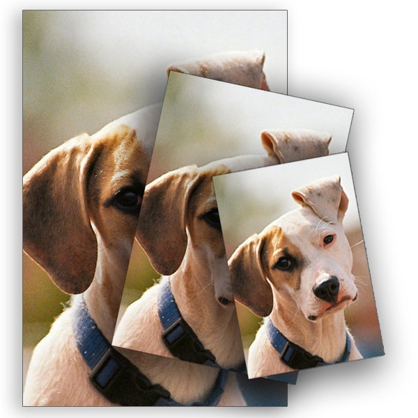 A0 - 84.1 cm x 118.9 cm Poster