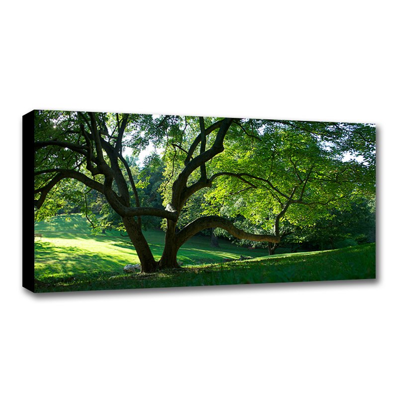 30 x 10 Canvas - 1.25 inch Black Wrap