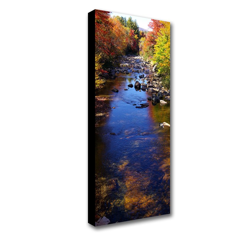 10 x 30 Canvas - 1.25 inch Black Wrap