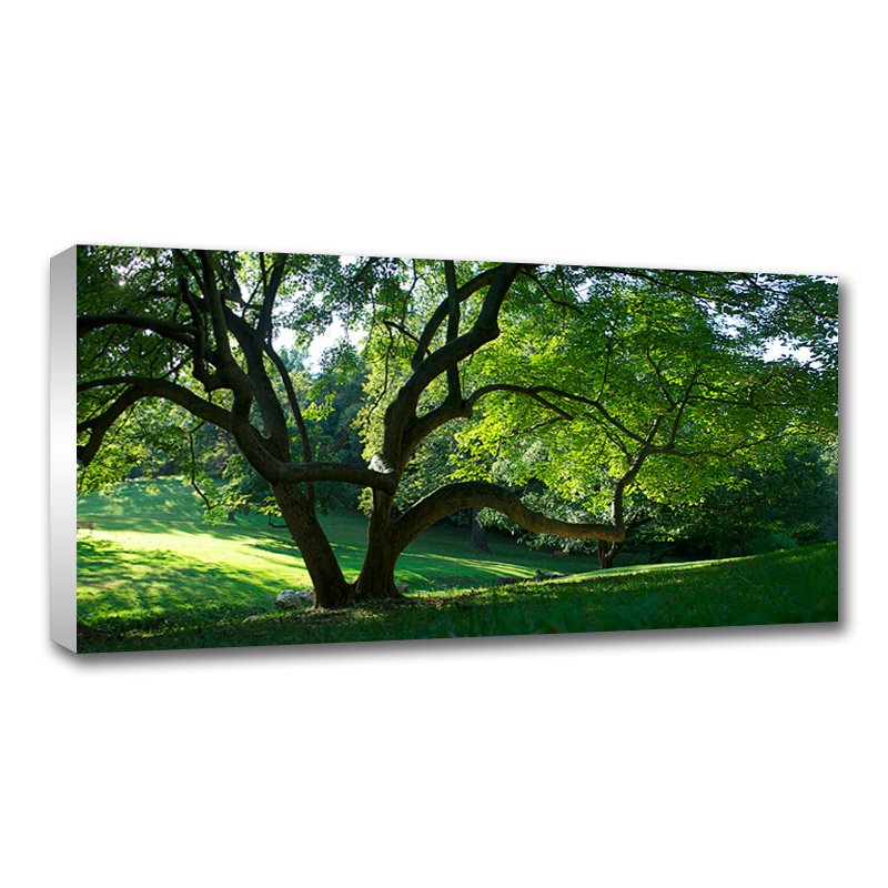 30 x 10 Canvas - 1.25 inch White Wrap