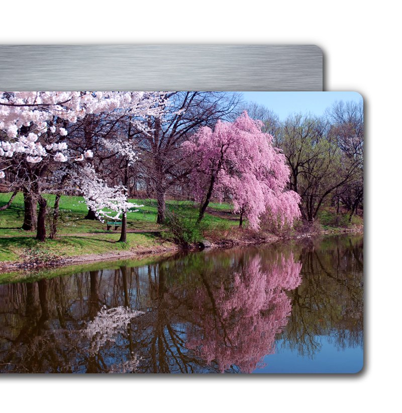 8x12" photo on metal - Horizontal 