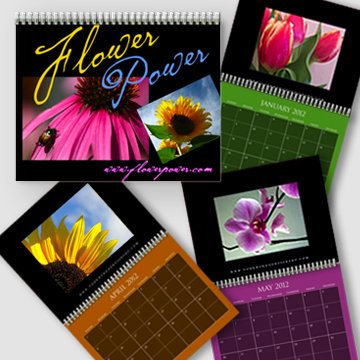 A4 - Freestyle Layout - Custom Color Dark Background 2018