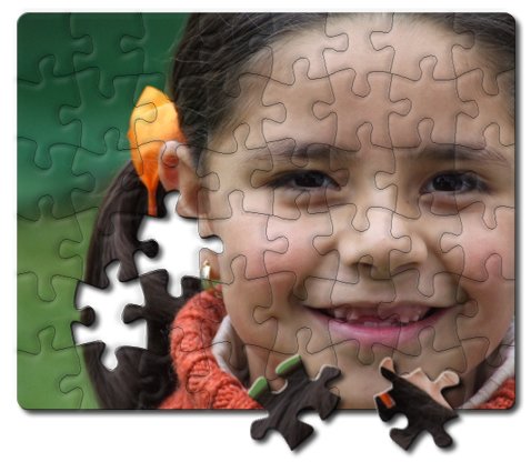 30 Piece jigsaw puzzle (9.5" x 7.5", horizontal) Calgary Custom Photo