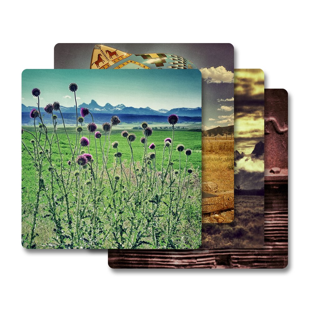 (PG325) robis Lakewood Camera + The Print Refinery