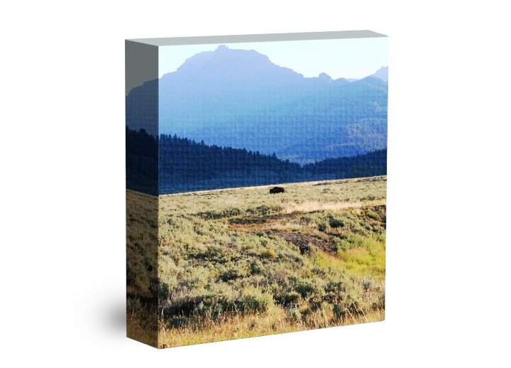 photoプリント 991_pgg_a17818b0-9b6c-012e-