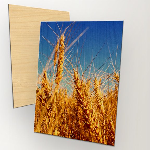 8x10 Maple Wood Print (Vertical)