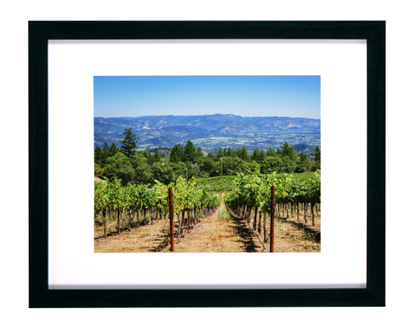 11x14 Matted Print in 16x20 Frame The Camera Shop Lansing