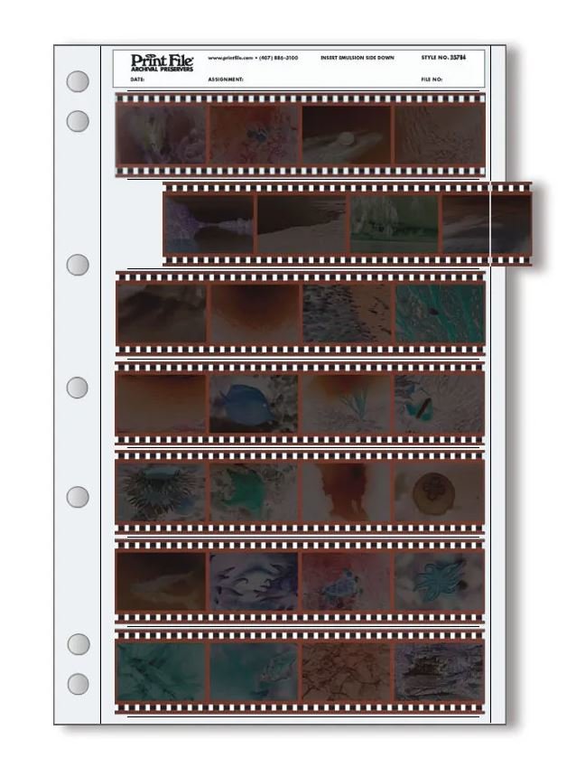 lastページ Print File 35-7B4 Negative Pages - 25 Pack - Photo Service