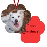 Paw Print Gloss White Ornament Double Sided