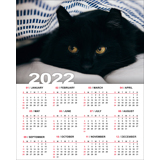8 x 10 Poster Calendar - 2022