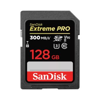 Canon EOS R6 Mark II + RF 100mm f/2.8 L Macro IS USM + 2 SanDisk 256GB  Extreme PRO UHS-II SDXC 300 MB/s