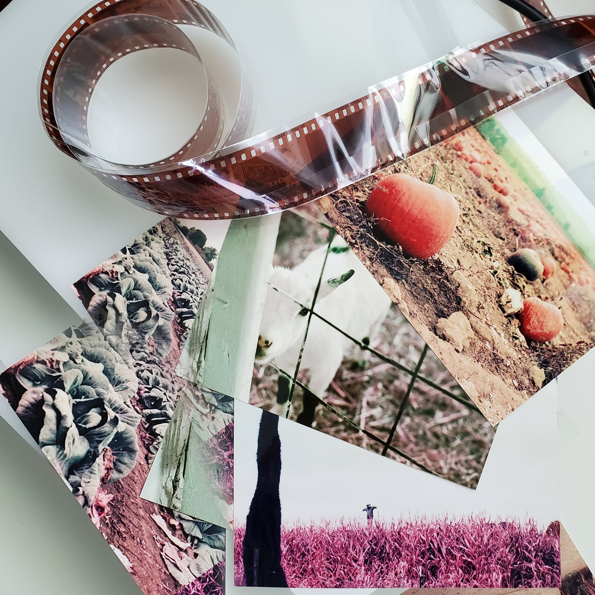 C41 35mm Film Processing & Printing 4x6 Pro Photo Supply