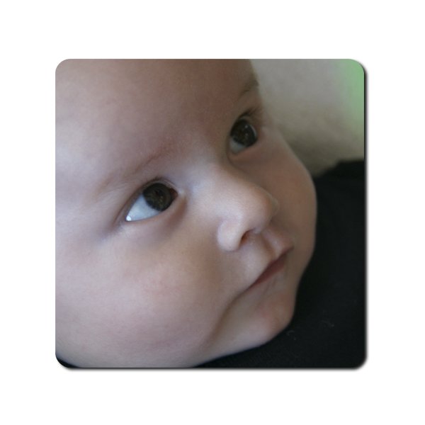 24"x 24" Metal Print 