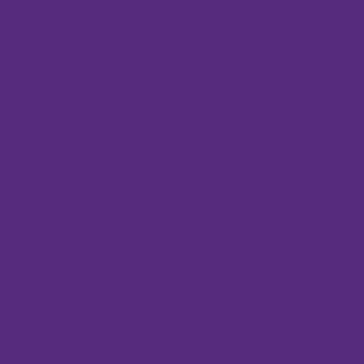 68 Deep Purple Seamless Paper - Superior Seamless