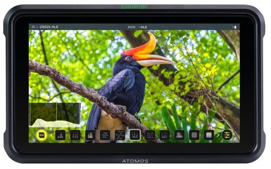 Atomos Shinobi 5” 4K HDR Photo & Video Monitor - Photo Service