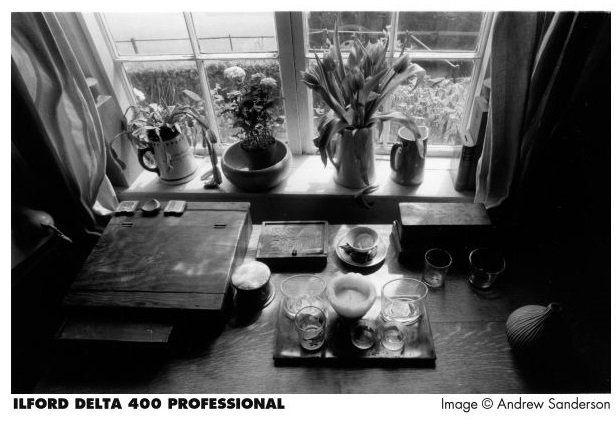 Ilford Delta 400 Professional 120 - Roll