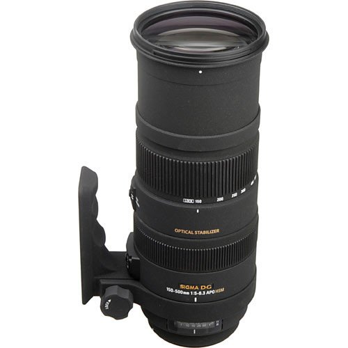 Sigma APO 150-500mm F/5-6.3 DG OS HSM for Nikon - Centre Japonais