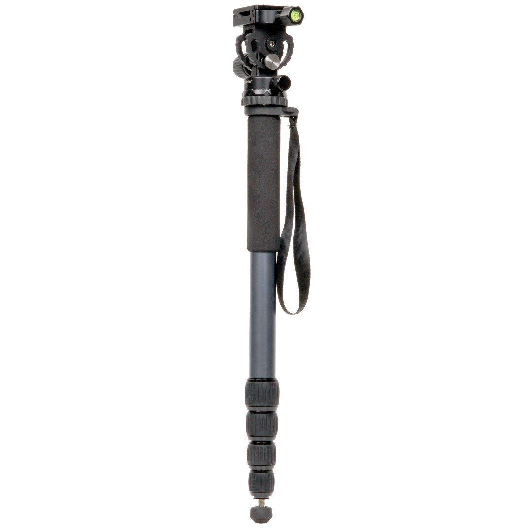 ProMaster MPH528 Professional Monopod with Head 7204 McClanahan Camera