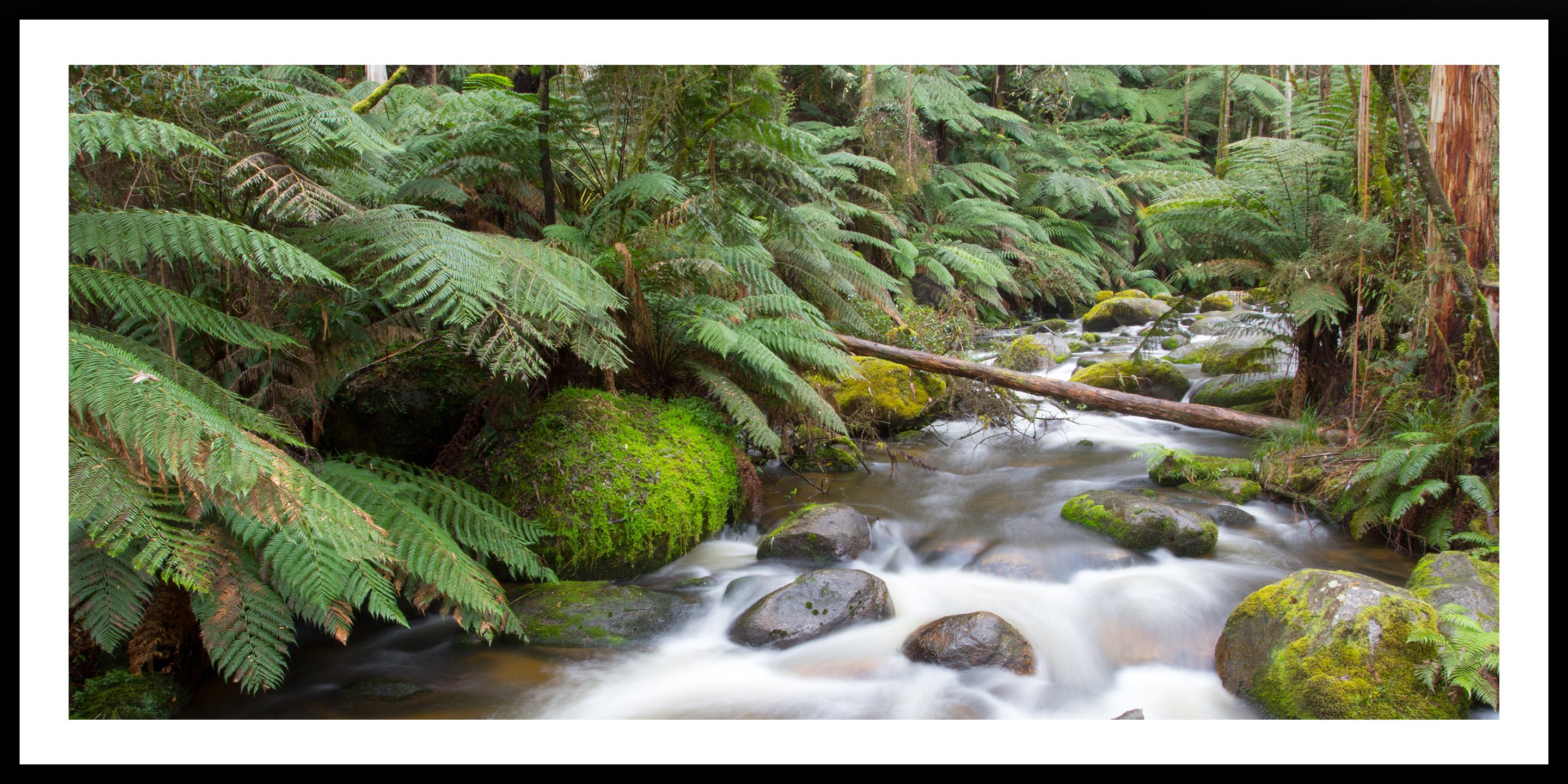 42x24 Custom Black Frame with matt and and 42x20 print 