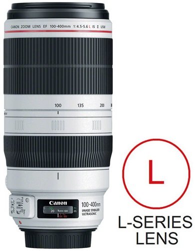 Canon Ef 100 400mm F4 5 5 6l Is Ii Usm Biggs Camera