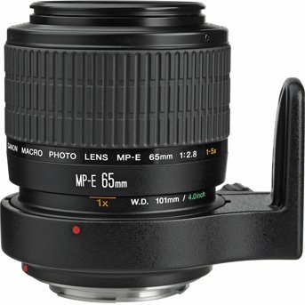 Canon MP-E65mm F2.8 1-5x Macro Photo - Kerrisdale Cameras