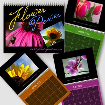 A4 - 2019 Dark Color Background Wall Calendar - Freestyle