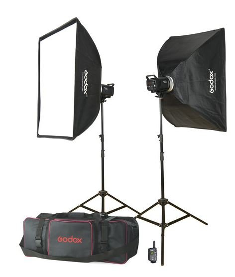 Godox MS300-F 2-Monolight Kit George's Camera